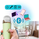 Bluetooth Dual Mic Kids Mini Karaoke