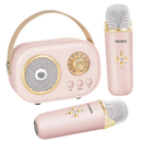 Bluetooth Dual Mic Kids Mini Karaoke