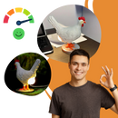 Cozy Chicken Egg Lamp