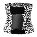 CurveMaster Triple Shaper