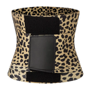 CurveMaster Triple Shaper