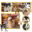 Cute Fluff Fur Capsule