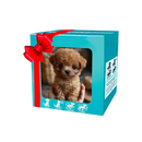 Cute Robotic Puppy Cat