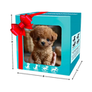 Cute Robotic Puppy Cat