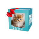 Cute Robotic Puppy Cat