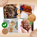 Cute Robotic Puppy Cat