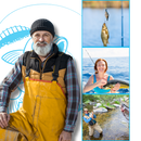 Daily Surprises Fishing Advent Calendar