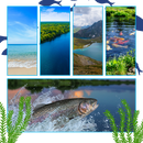 Daily Surprises Fishing Advent Calendar