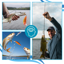 Daily Surprises Fishing Advent Calendar