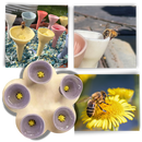 Discreet Attractive Color Bee Cup