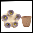 Discreet Attractive Color Bee Cup