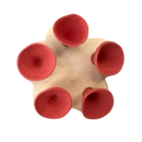 Discreet Attractive Color Bee Cup