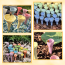 Discreet Attractive Color Bee Cup