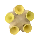 Discreet Attractive Color Bee Cup