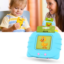 Educational Talking Flash Cards