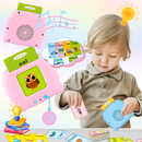 Educational Talking Flash Cards