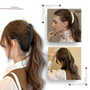 Elegant Ponytail Holder Clip