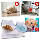 Elevated Comfort Bowl for Cats