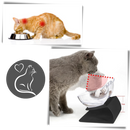 Elevated Comfort Bowl for Cats