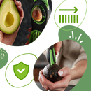 Ergonomic Multifunctional Avocado Tool