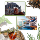 Fine Mesh Stainless Steel Tea Strainer