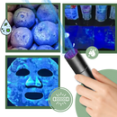 Food Inspection Multi-Use UV Light