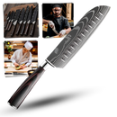 Pakka Wood Japanese Knife