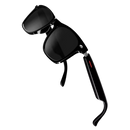 Global Translation Glasses