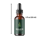 Gluten Free Mullein For Lung Health