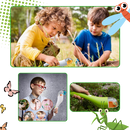 HD Viewing Insect Trap