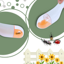 HD Viewing Insect Trap