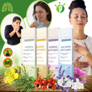 Herbal Mullein Stick