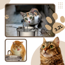 Large Capacity Cat Drinking Fountain