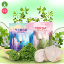 Matcha Mate Lift Tea