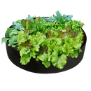 Multipurpose Breathable Planting Bags