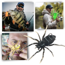 Natural Movement Spider Lures