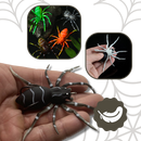 Natural Movement Spider Lures