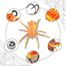 Natural Movement Spider Lures