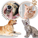 Natural Pet Oral Repair Gel