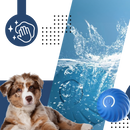 Obstacle Avoidance Dog Ball