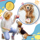 Paw Bounce Sensor Toy