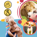 Paw Bounce Sensor Toy