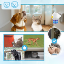 Paws Serenity Pheromone Diffuser