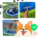 Portable Dog Splash Pad