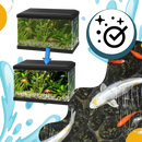 Preventive Aquarium Algaecide