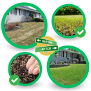 Quick Fix Green Grass Seed Mat