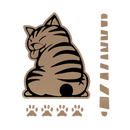 Quirky Cat Wiper Decal