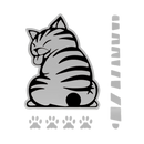 Quirky Cat Wiper Decal