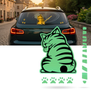 Quirky Cat Wiper Decal