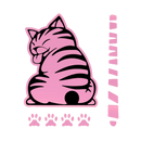 Quirky Cat Wiper Decal